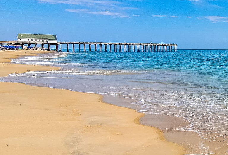 Joe Beal Of Nags Head North Carolina Hotsell head.hesge.ch